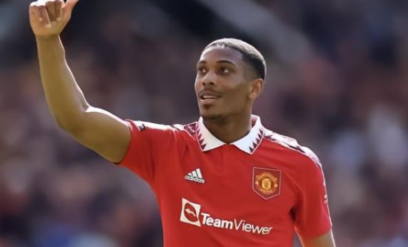 近年来受到 近年来受到