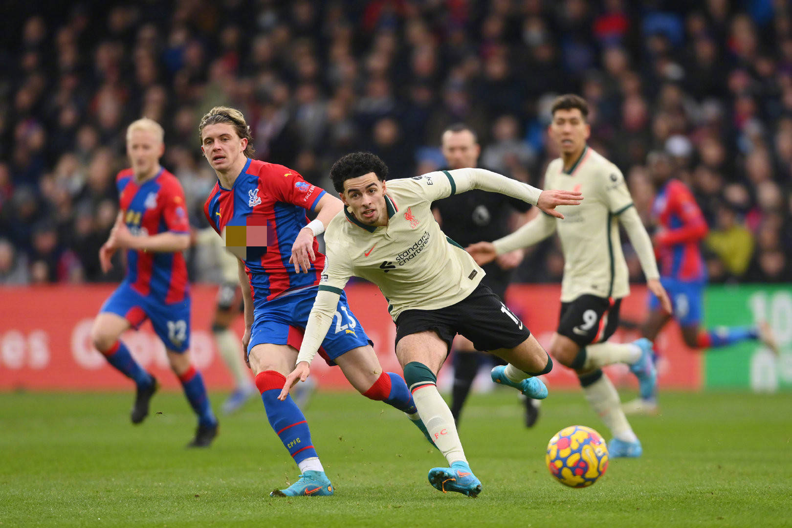 孔塞桑的说 孔塞桑的说